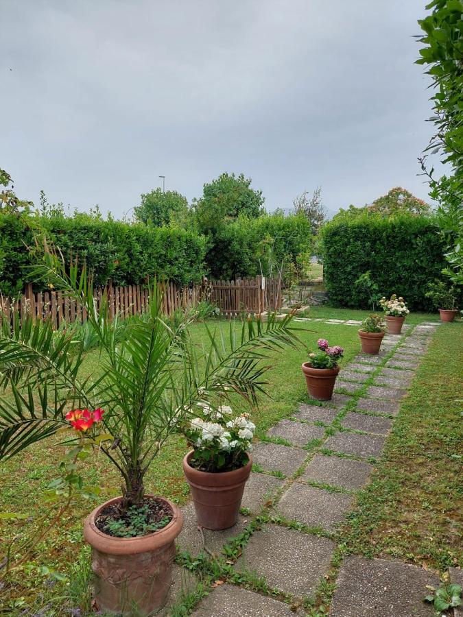 Patrizia 3*